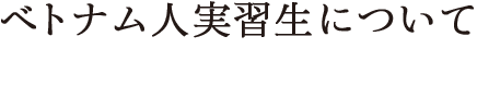 ベトナム人実習生について