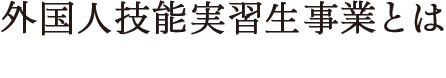 外国人技能実習生事業とは