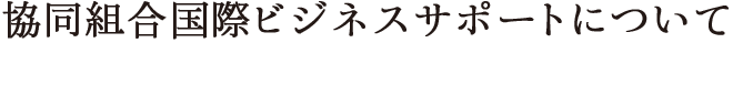 協同組合国際ビジネスサポートについて